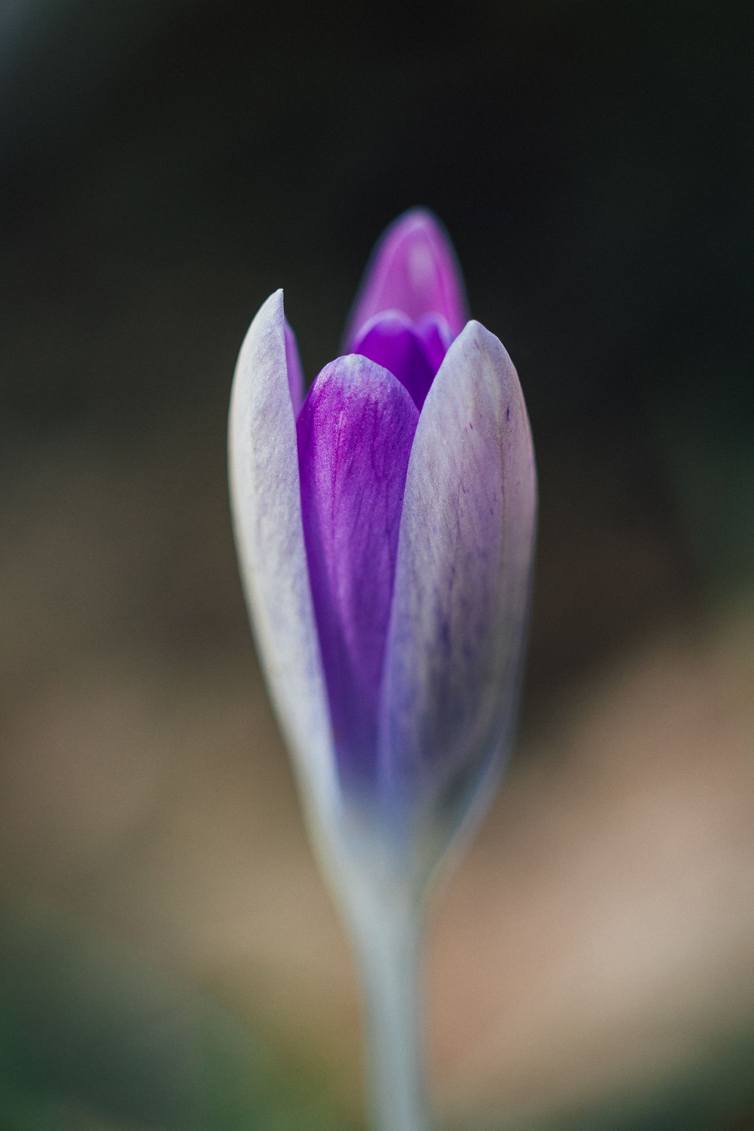 今日教程“花花生活圈有没有挂”(曝光透视必备猫腻)